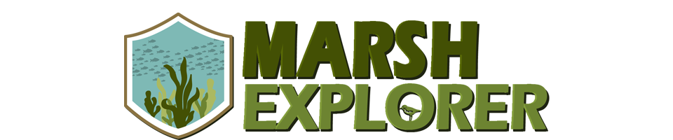 Marsh Explorer