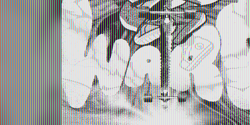 Cover image for WARP