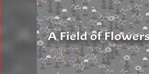 Cover image for A Field of Flowers