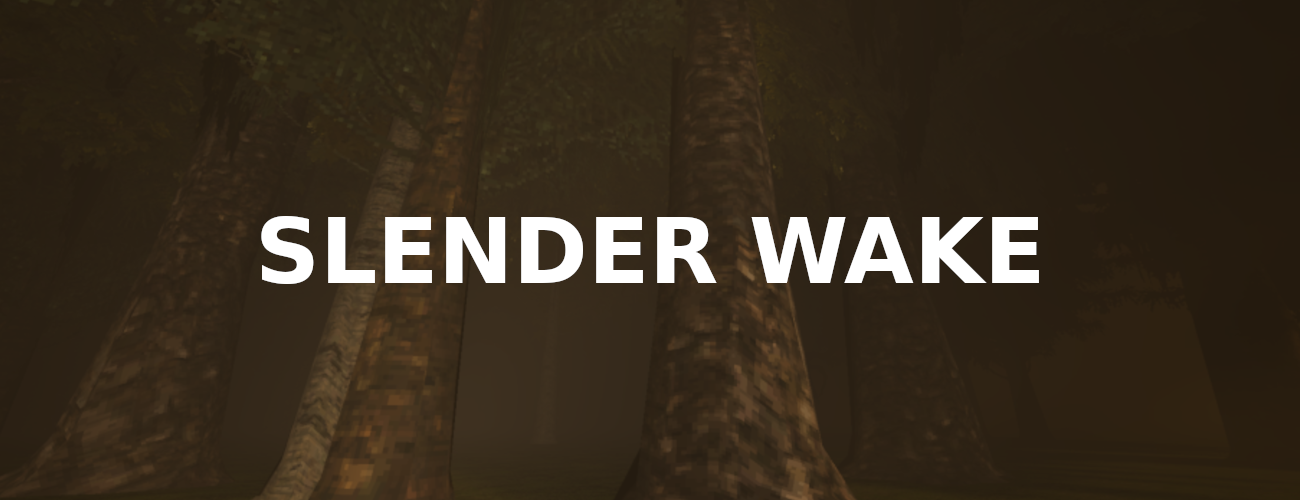Slender Wake