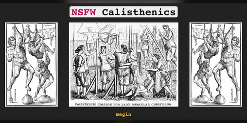 Cover image for NSWF Calisthenics