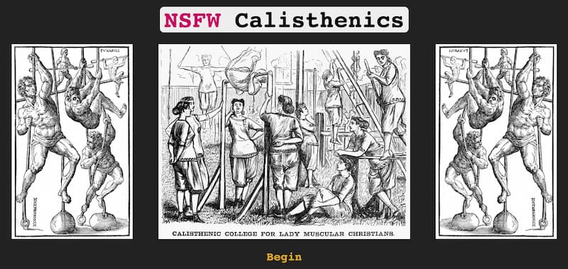 Cover image for NSWF Calisthenics