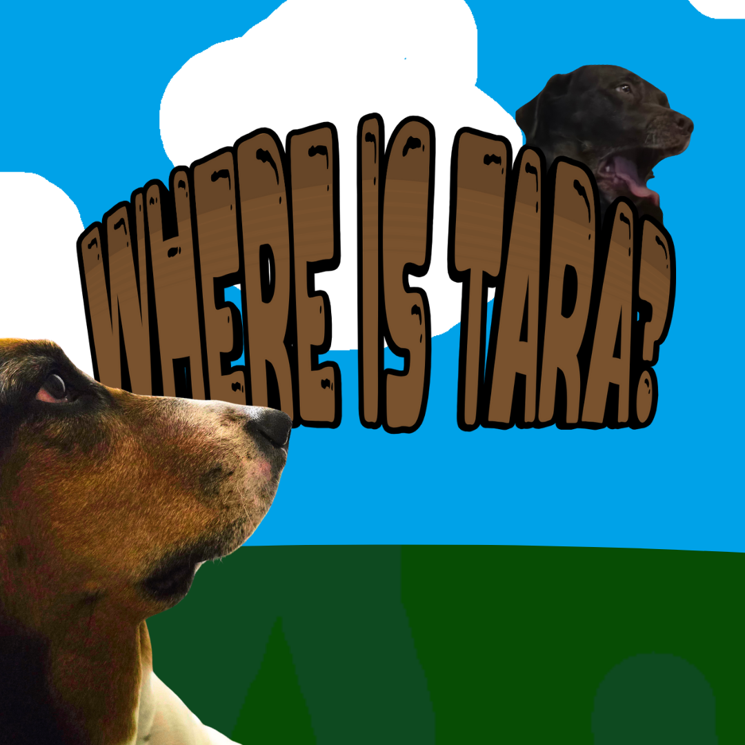 Cover image for Where Is Tara?