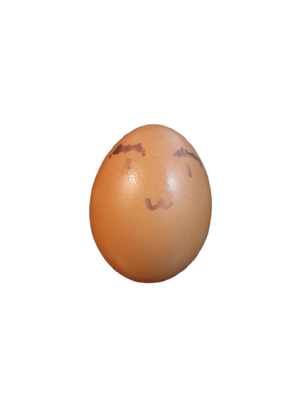 EGG EGG EGG