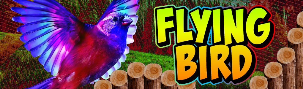 Flying Bird