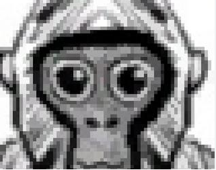 cgh v5 NO SERVERS