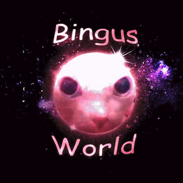 Cover image for Bingus World