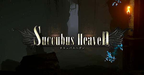 Cover image for Succubus Heaven