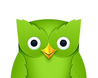 Talking Duolingo