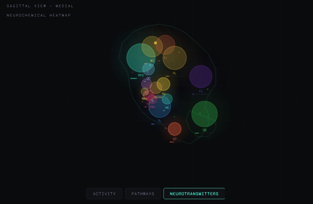 Cover image for Encephalon: Brain Simulator