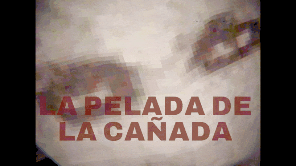 La Pelada de la Cañada cover
