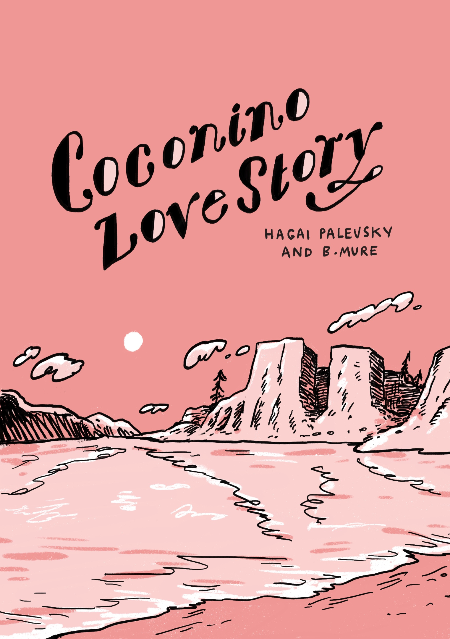 Cover image for Coconino Love Story