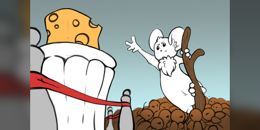 Cover image for Cheese Finder