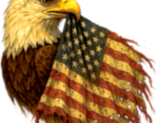USA History Trivia game screenshot