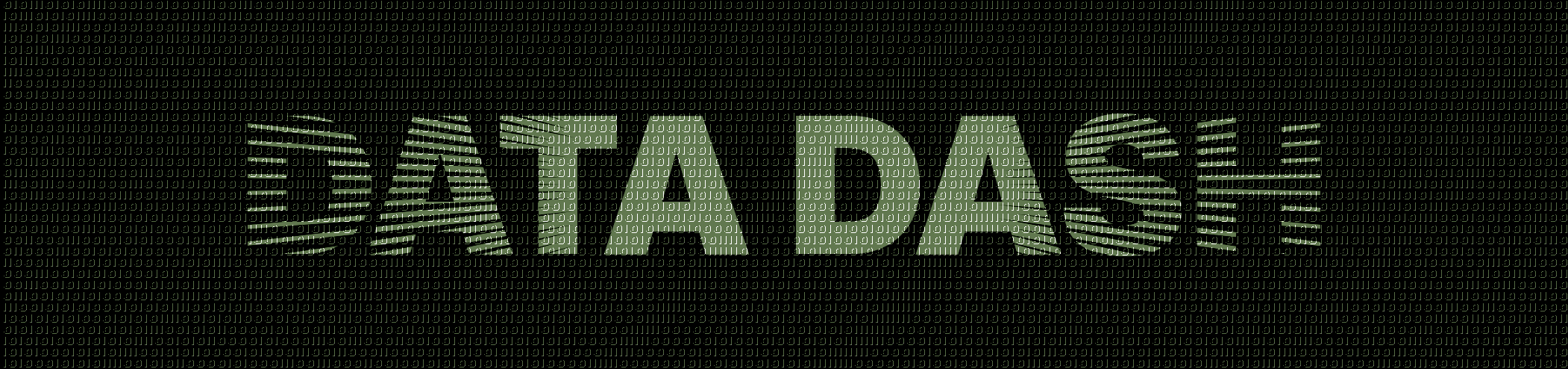 Data Dash