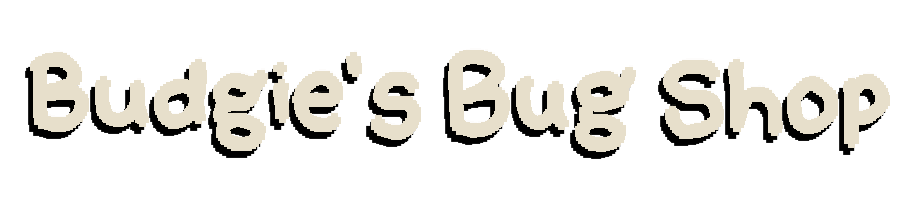 Budgie's Bug Shop Demo