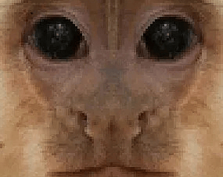 Arc Gorilla game screenshot
