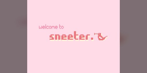 Cover image for Sneeter