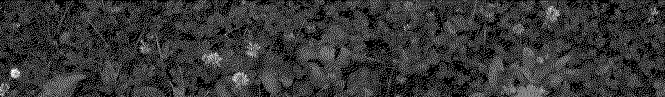 fnv thank you for everything