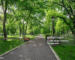 Walk in the Park