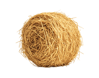 Rolling Tumbleweed game screenshot