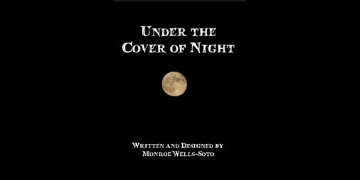 Cover image for Under the Cover of Night
