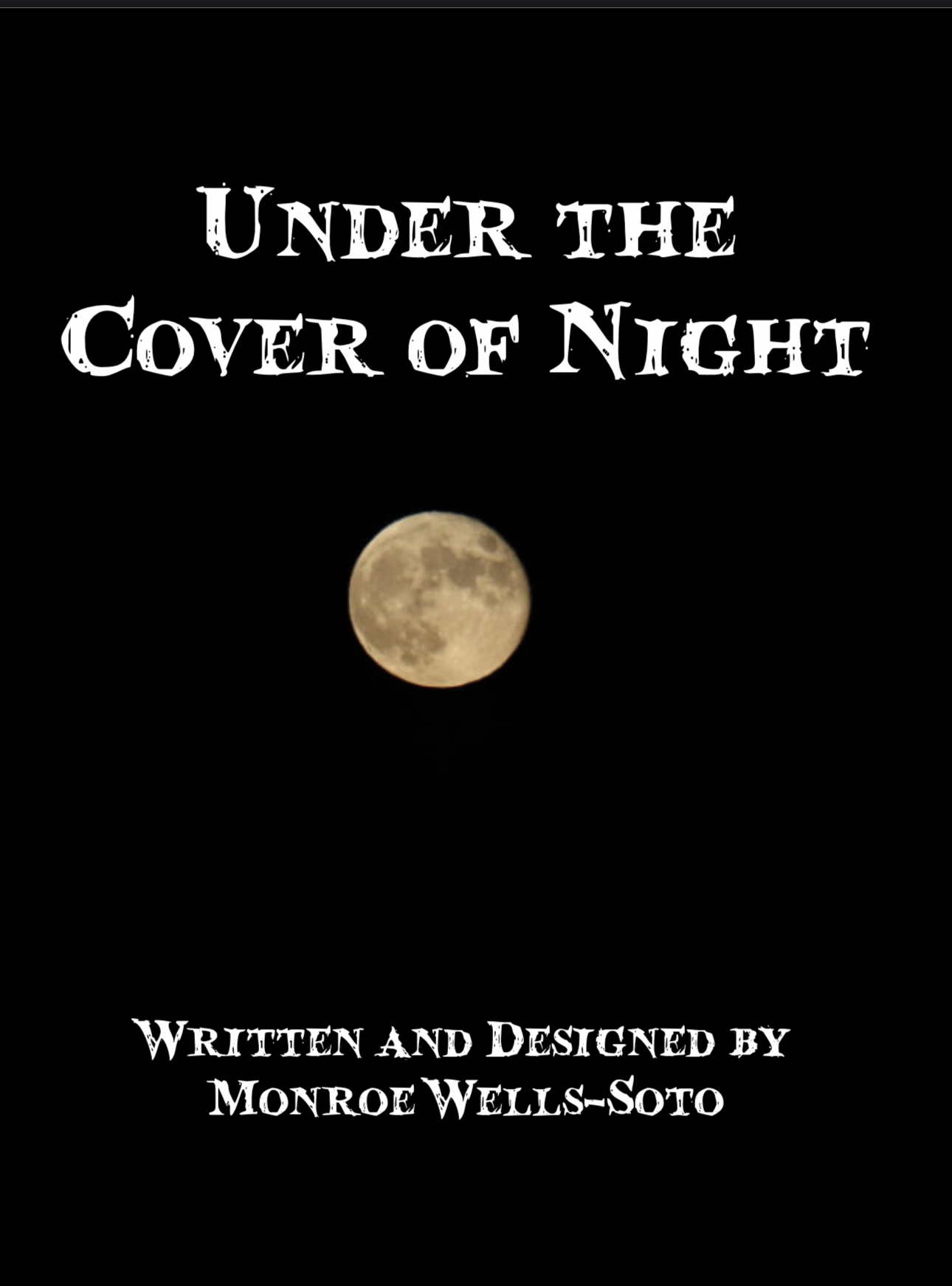 Cover image for Under the Cover of Night