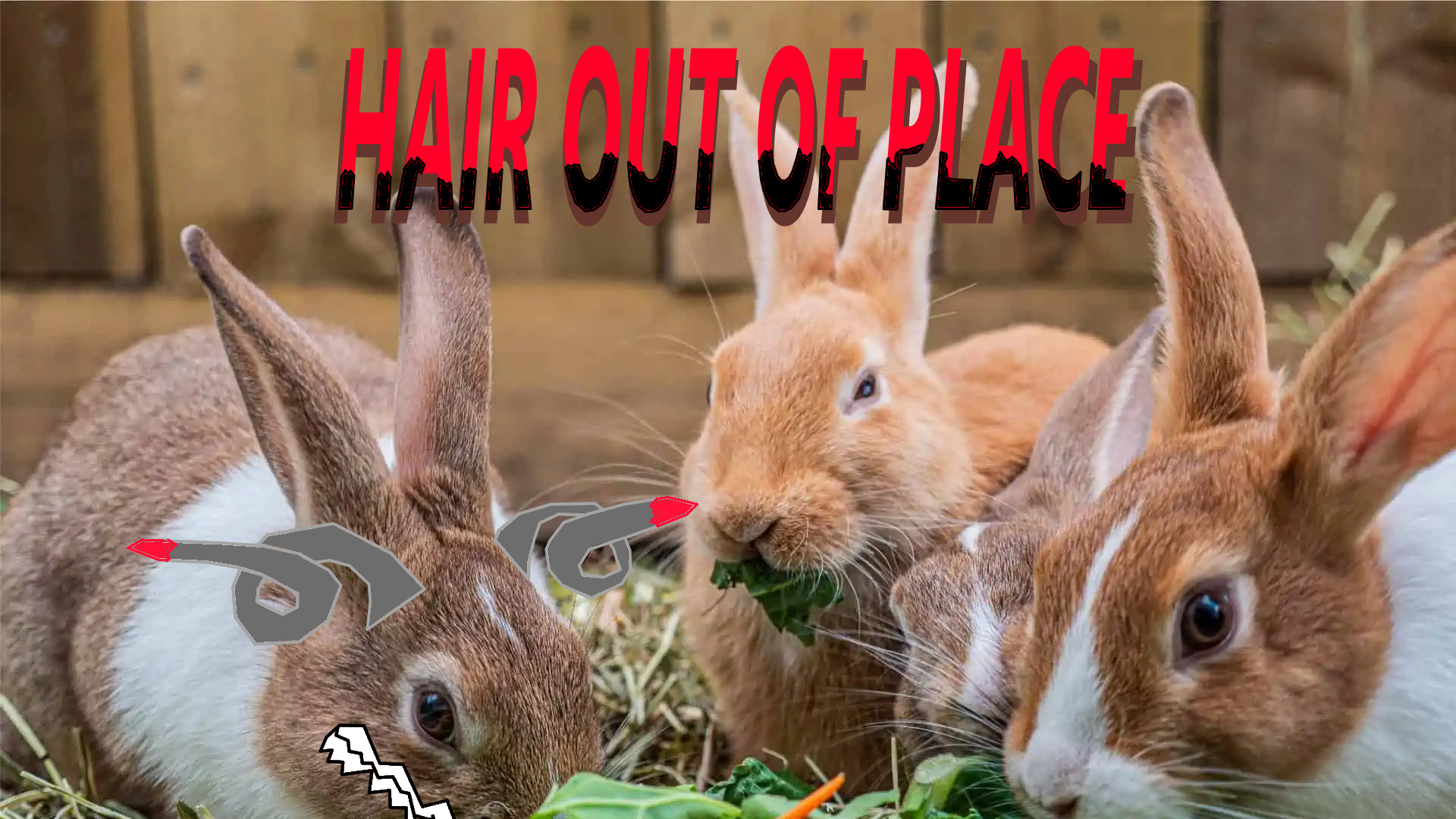 Cover image for Hair Out Of Place.