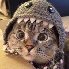 Cat(astrophic) Clicker