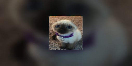 Cover image for Cat(astrophic) Clicker