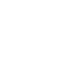 Y Button