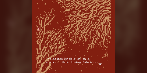 Cover image for mycelium