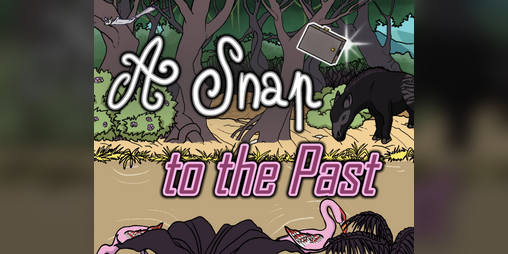 Cover image for A Snap to the Past