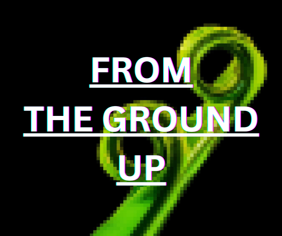 Cover image for From the Ground Up