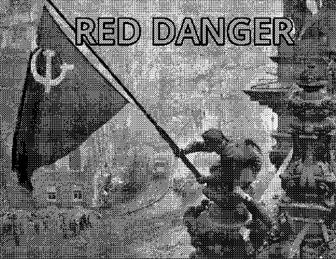 Red Danger cover