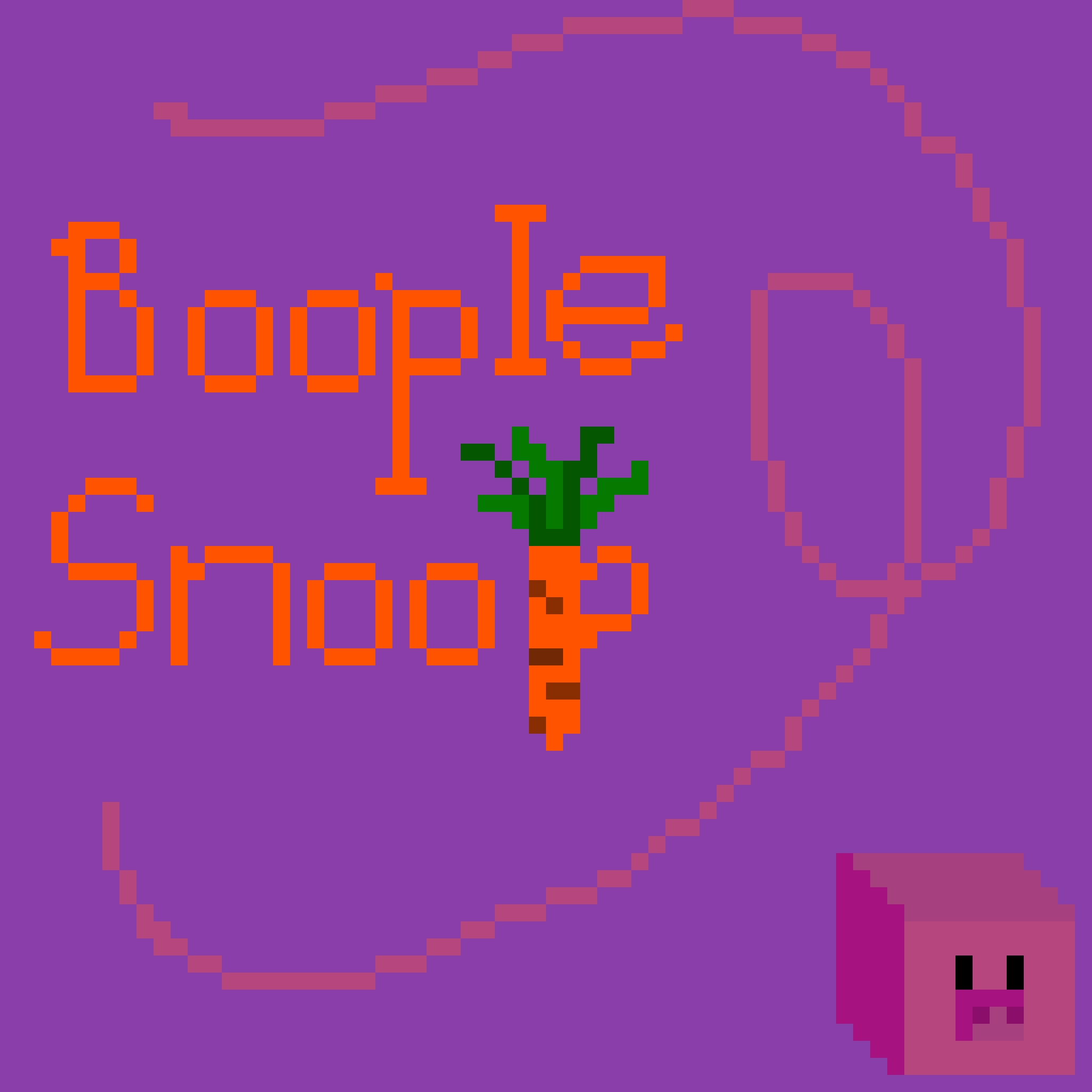 Cover image for Booplesnoop