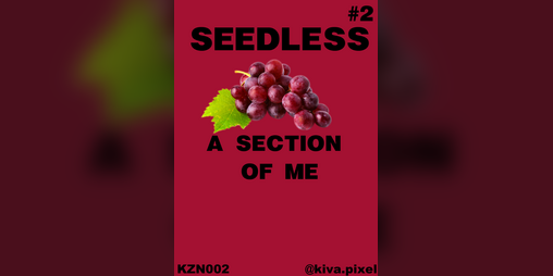 Cover image for SEEDLESS : A section of me vol.2