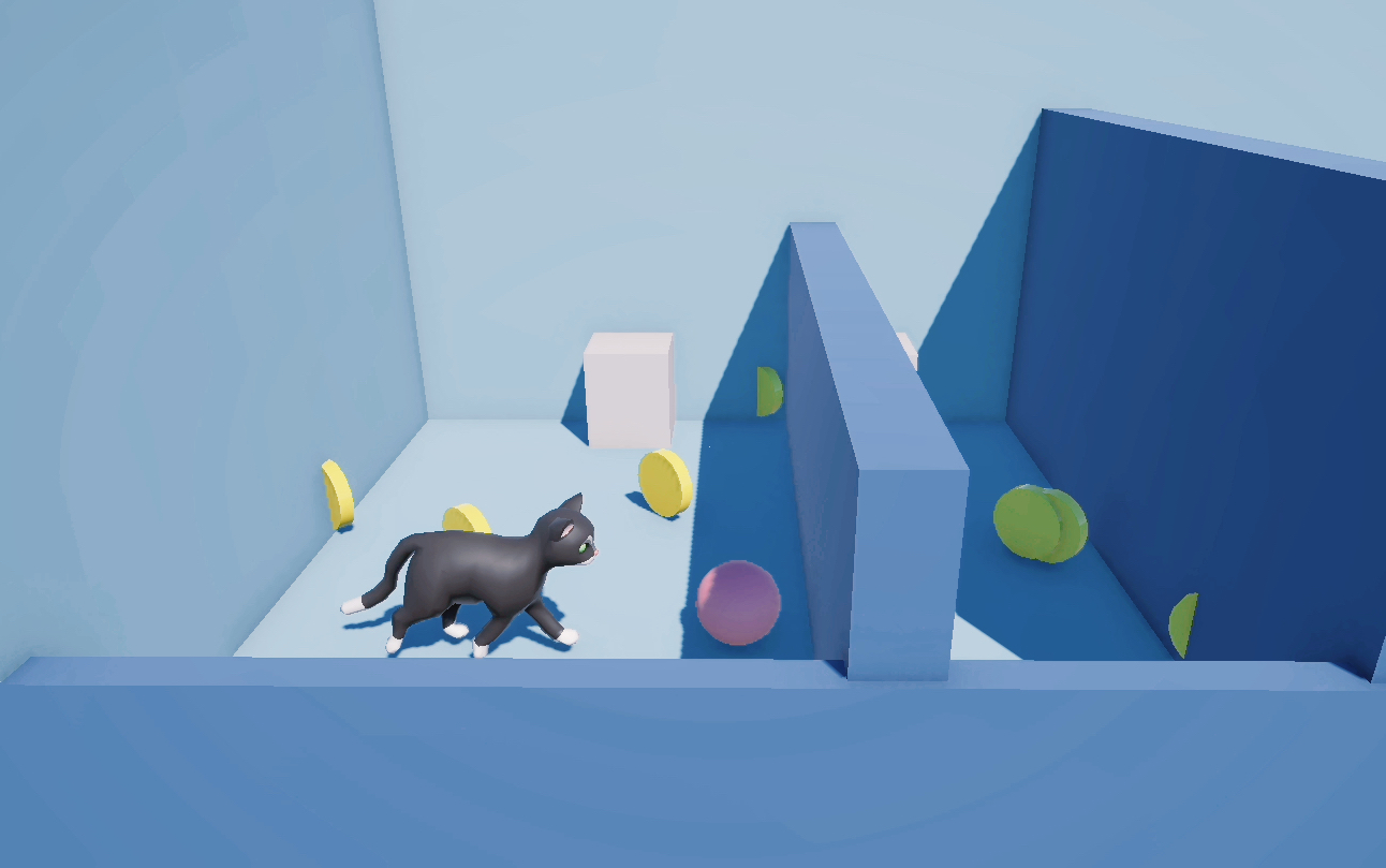 Boxy Bounce