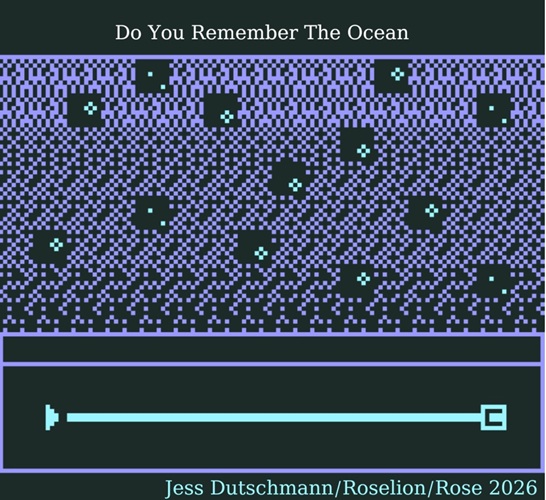 Cover image for Do You Remember The Ocean