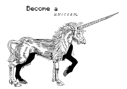 Cover image for Become a Unicorn