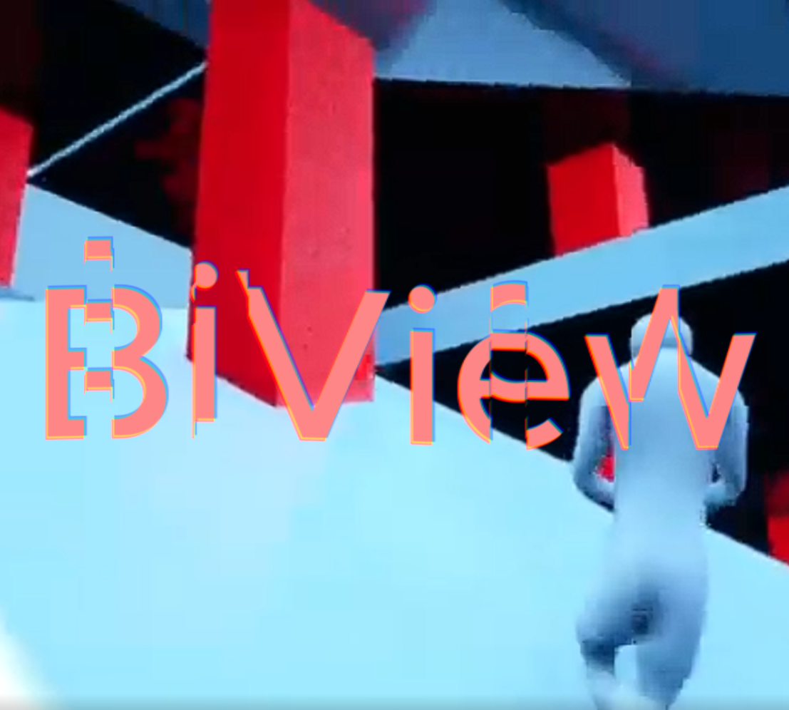 BiView