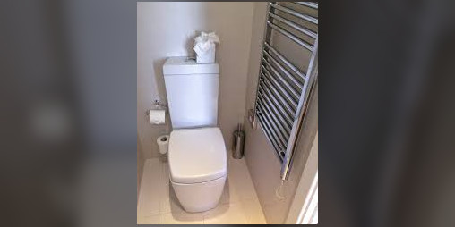 Cover image for PooPooPeePee Simulator