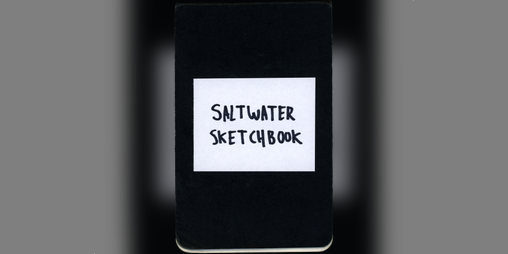 Cover image for Saltwater Sketchbook