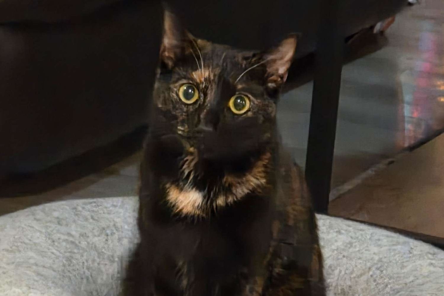 Our other manager, Dolly Our other manager, Dolly