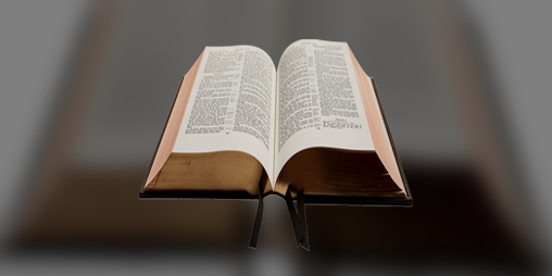 Cover image for Bible Viewer Godot
