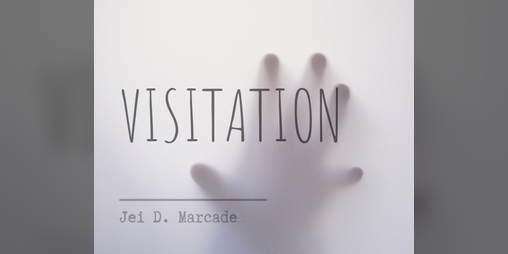 Cover image for Visitation