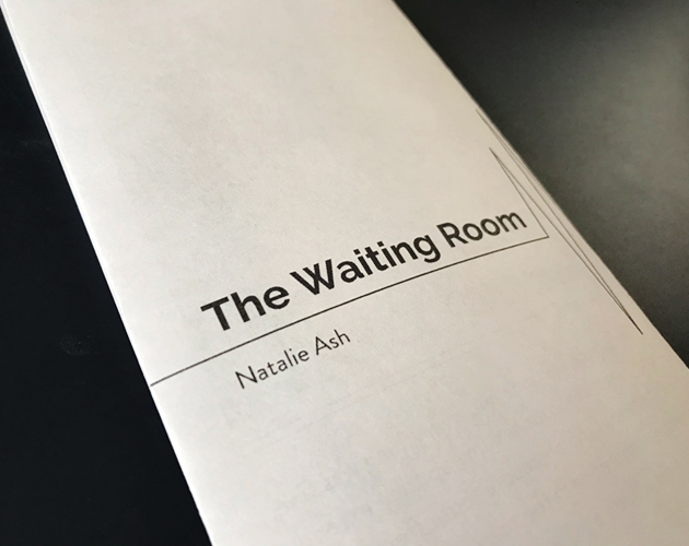 Cover image for The Waiting Room