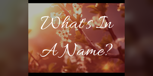 Cover image for What's In A Name?