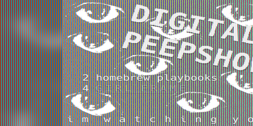 Cover image for DIGITAL PEEPSHOW: Homebrew Playbooks for Girl Frame