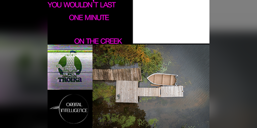 Cover image for you wouldn't last one minute on the creek